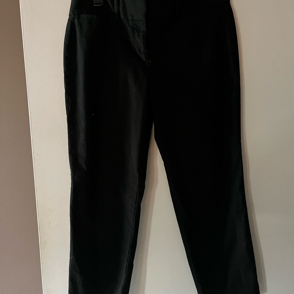 Loft casual capris